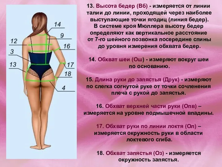 13. Высота бедер (Вб) - измеряется от линии талии до линии,