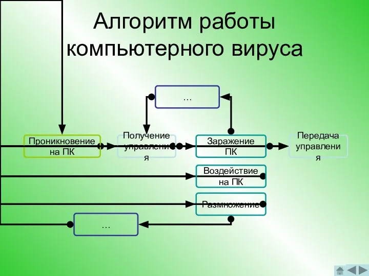 Алгоритм работы компьютерного вируса