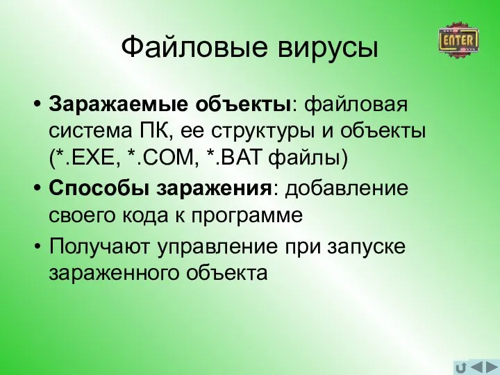 Файловые вирусы Заражаемые объекты: файловая система ПК, ее структуры и объекты