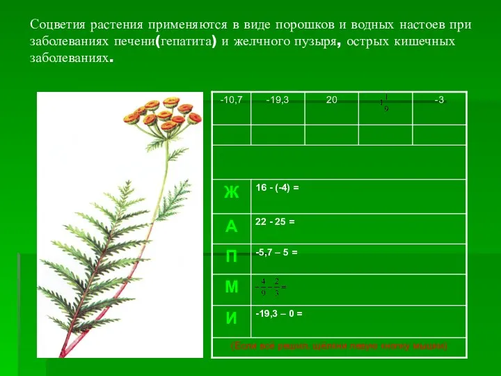 Соцветия растения применяются в виде порошков и водных настоев при заболеваниях