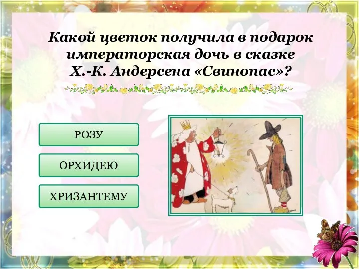 Какой цветок получила в подарок императорская дочь в сказке Х.-К. Андерсена «Свинопас»? ОРХИДЕЮ ХРИЗАНТЕМУ РОЗУ