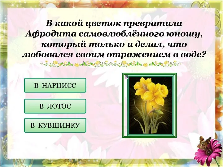 В какой цветок превратила Афродита самовлюблённого юношу, который только и делал,