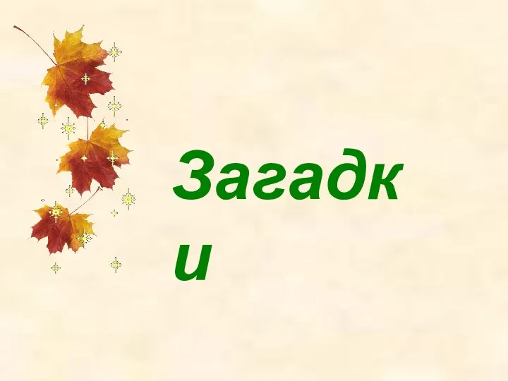 Загадки