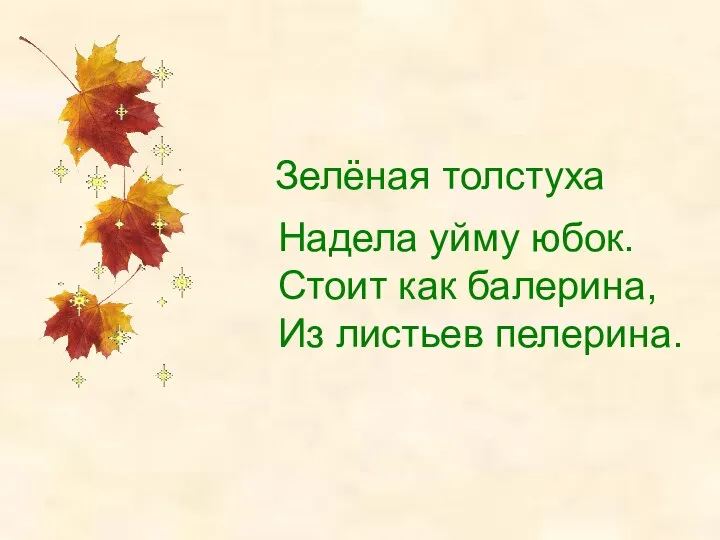 Зелёная толстуха Надела уйму юбок. Стоит как балерина, Из листьев пелерина.