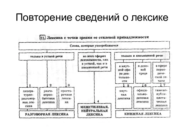 Повторение сведений о лексике