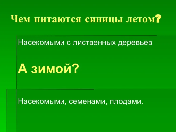 Чем питаются синицы летом? Насекомыми с лиственных деревьев А зимой? Насекомыми, семенами, плодами.