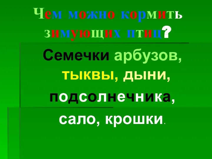 Чем можно кормить зимующих птиц? Семечки арбузов, тыквы, дыни, подсолнечника, сало, крошки.