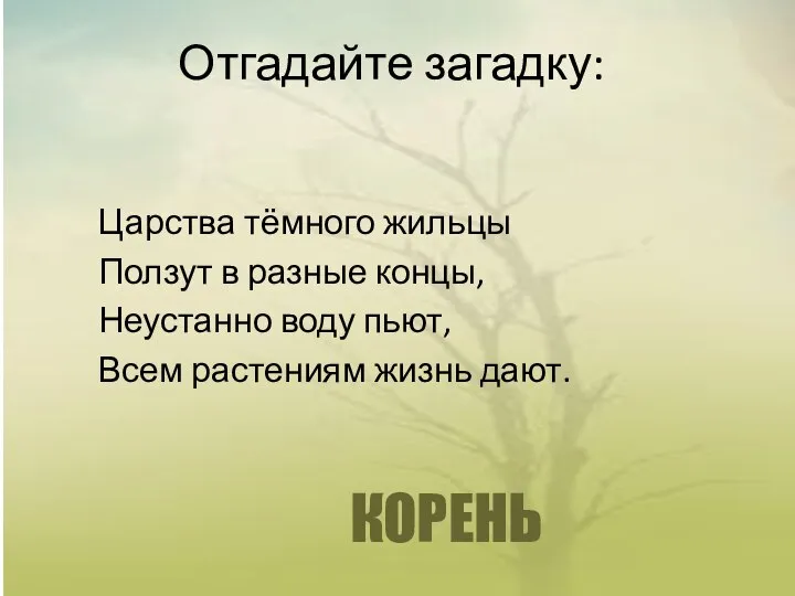 Отгадайте загадку: КОРЕНЬ Царства тёмного жильцы Ползут в разные концы, Неустанно