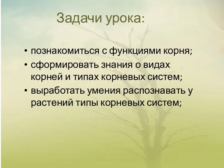 Задачи урока: познакомиться с функциями корня; сформировать знания о видах корней