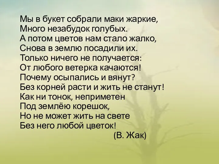 Мы в букет собрали маки жаркие, Много незабудок голубых. А потом