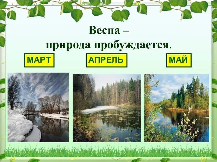 Весна – природа пробуждается. МАРТ АПРЕЛЬ МАЙ