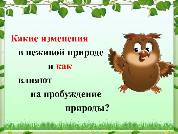 Какие изменения в неживой природе и как влияют на пробуждение природы?