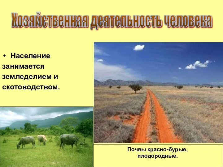 Почвы красно-бурые, плодородные. Население занимается земледелием и скотоводством. Хозяйственная деятельность человека