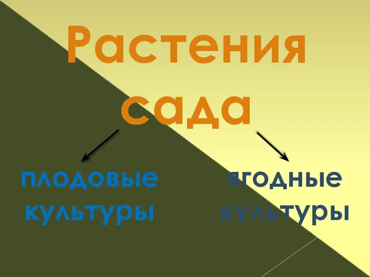 Растения сада плодовые культуры ягодные культуры