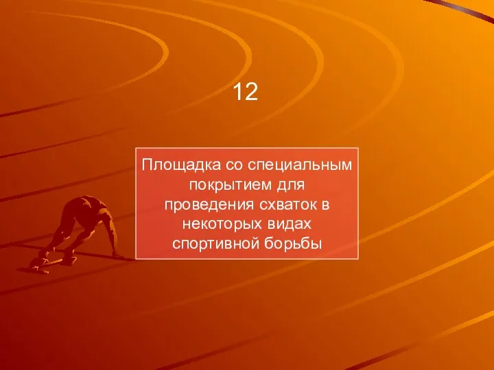 Площадка со специальным покрытием для проведения схваток в некоторых видах спортивной борьбы 12