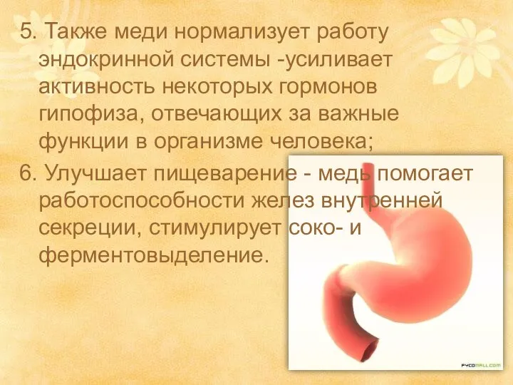 5. Также меди нормализует работу эндокринной системы -усиливает активность некоторых гормонов