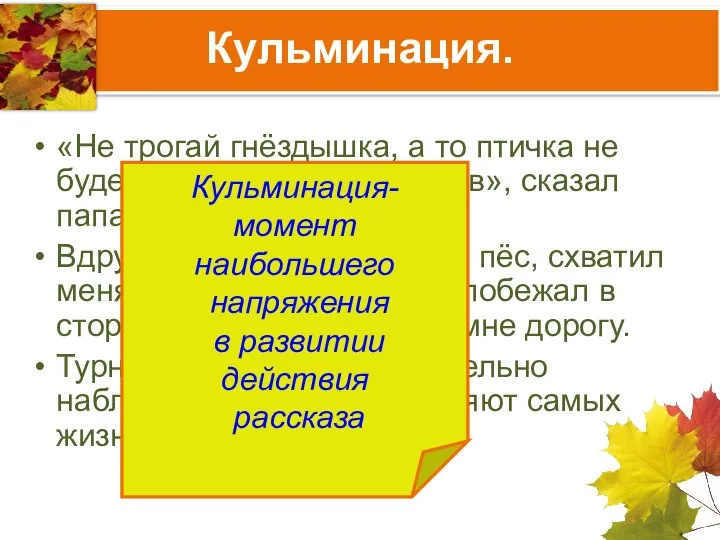 Кульминация. «Не трогай гнёздышка, а то птичка не будет высиживать птенчиков»,