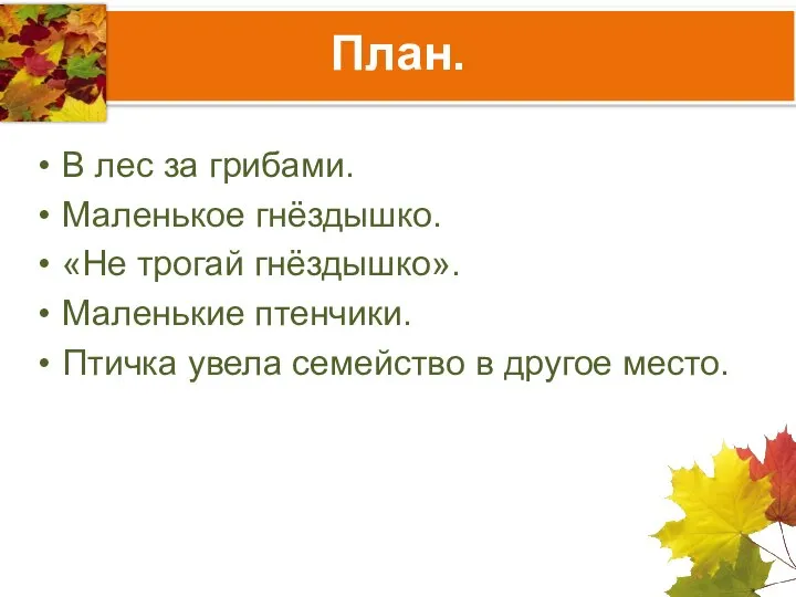 План. В лес за грибами. Маленькое гнёздышко. «Не трогай гнёздышко». Маленькие