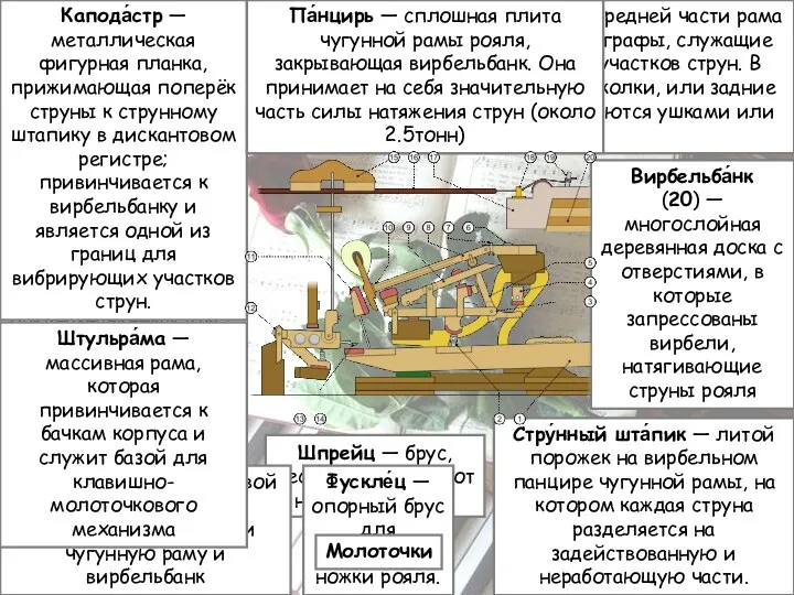 Шпрейц — брус, несущий нагрузки от натяжения струн. Фу́тор — основной