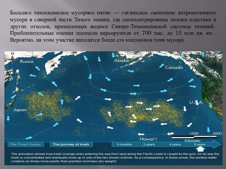 Большое тихоокеанское мусорное пятно — гигантское скопление антропогенного мусора в северной