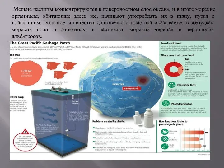 Мелкие частицы концентрируются в поверхностном слое океана, и в итоге морские