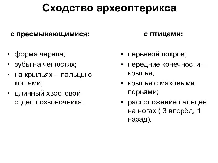 Сходство археоптерикса с пресмыкающимися: форма черепа; зубы на челюстях; на крыльях