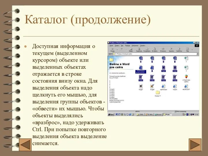 Каталог (продолжение) Доступная информация о текущем (выделенном курсором) объекте или выделенных