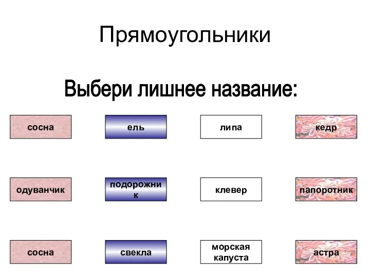 Прямоугольники Выбери лишнее название: