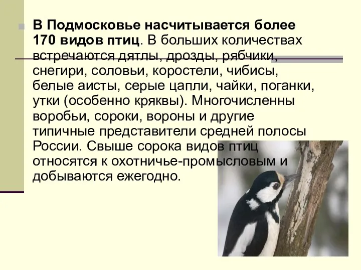 В Подмосковье насчитывается более 170 видов птиц. В больших количествах встречаются