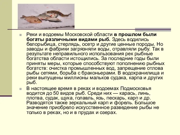 Реки и водоемы Московской области в прошлом были богаты различными видами