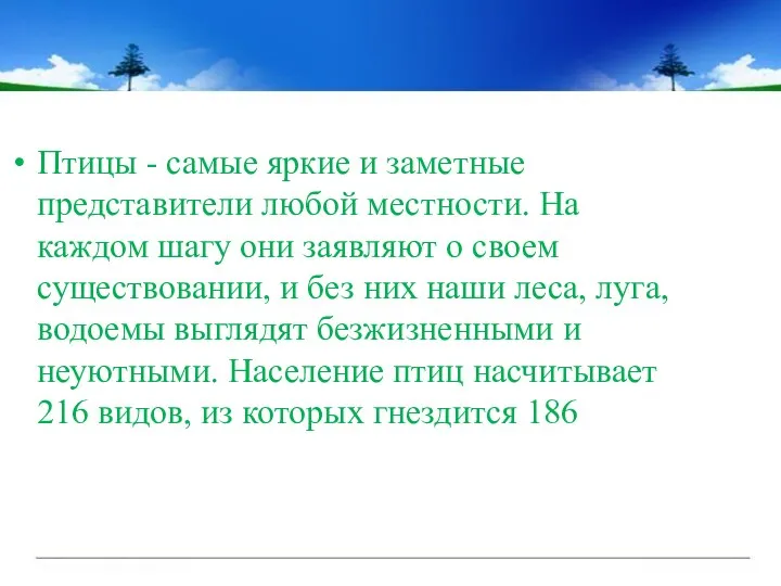 Птицы - самые яркие и заметные представители любой местности. На каждом