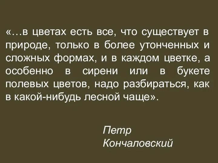 «…в цветах есть все, что существует в природе, только в более