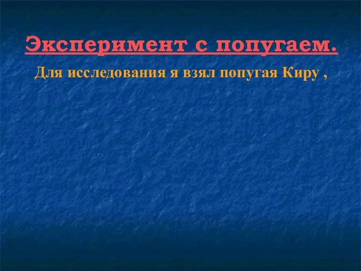 Эксперимент с попугаем. Для исследования я взял попугая Киру ,