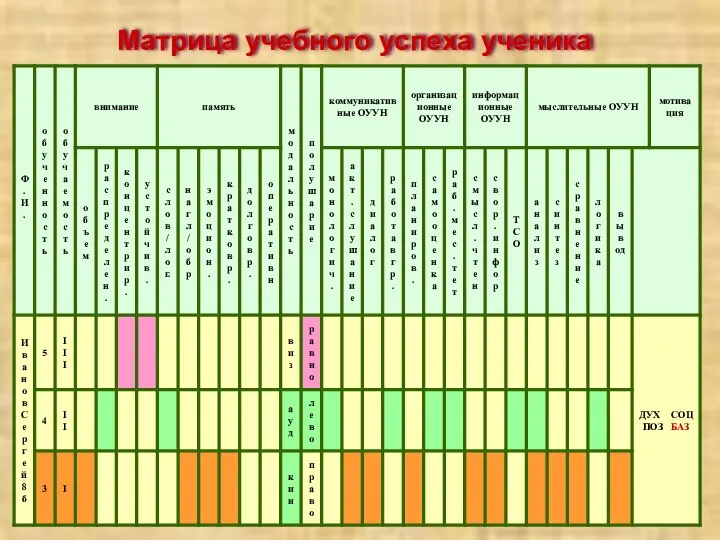 Матрица учебного успеха ученика