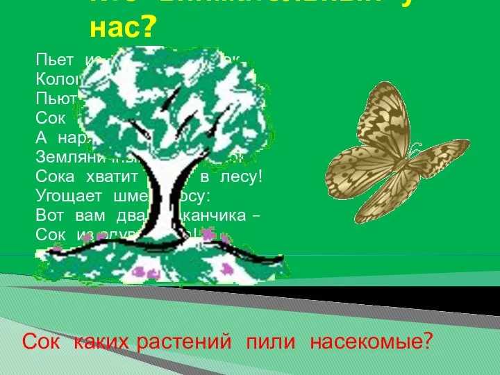 Кто внимательный у нас? Пьет из чашечки жучок Колокольчиковый сок. Пьют