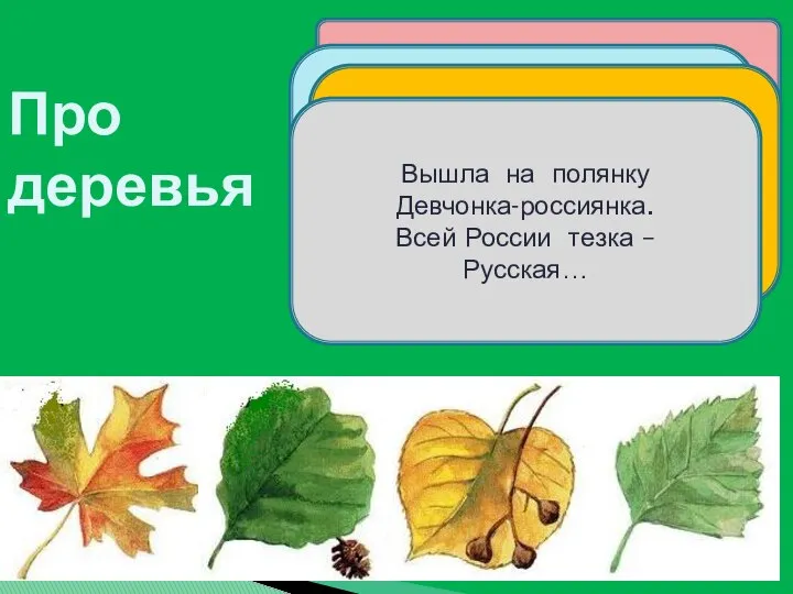 Осенью его не тронь – Полыхает как огонь! Летом пышен и