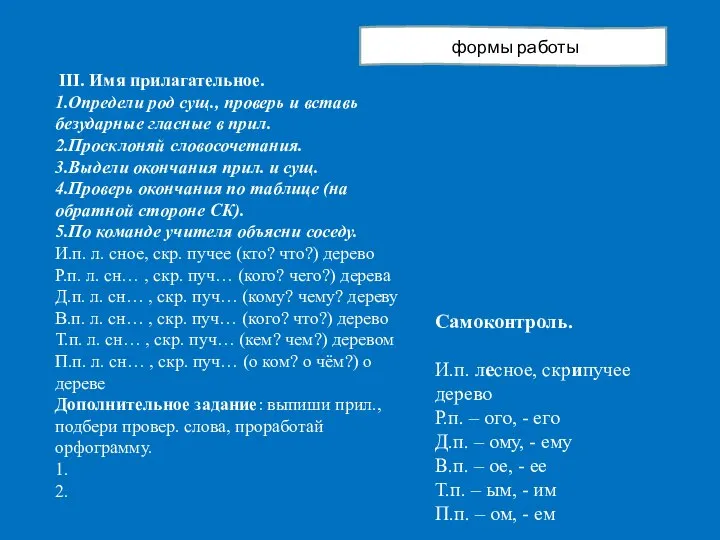 III. Имя прилагательное. 1.Определи род сущ., проверь и вставь безударные гласные