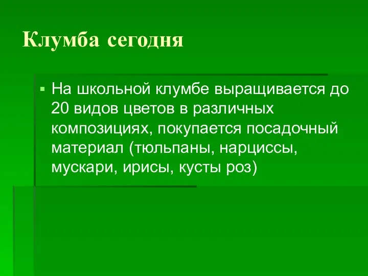 Клумба сегодня На школьной клумбе выращивается до 20 видов цветов в