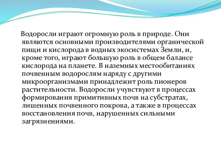 Водоросли играют огромную роль в природе. Они являются основными производителями органической