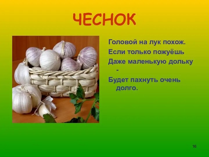 ЧЕСНОК Головой на лук похож. Если только пожуёшь Даже маленькую дольку - Будет пахнуть очень долго.