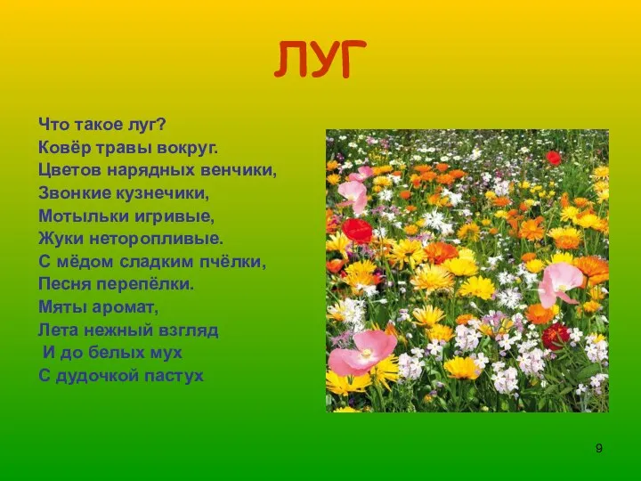 ЛУГ Что такое луг? Ковёр травы вокруг. Цветов нарядных венчики, Звонкие