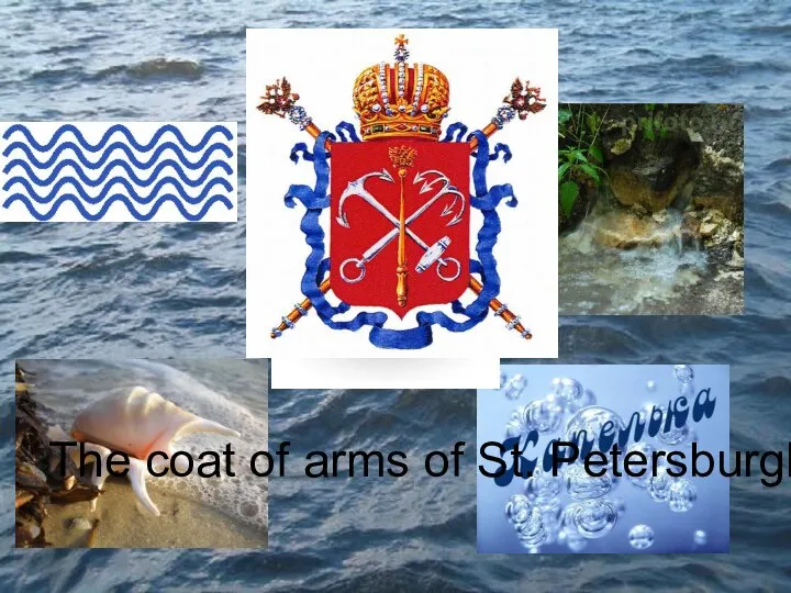 The coat of arms of St. Petersburgh