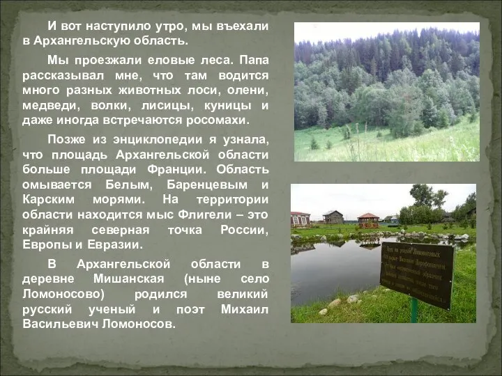 И вот наступило утро, мы въехали в Архангельскую область. Мы проезжали