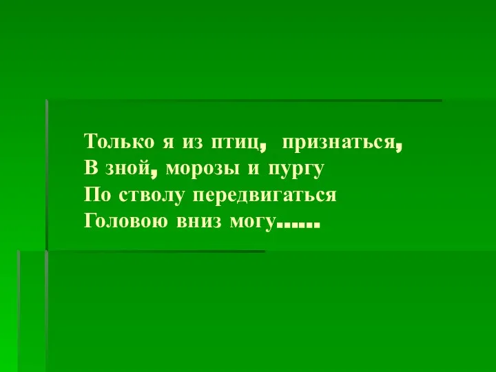 Только я из птиц, признаться, В зной, морозы и пургу По стволу передвигаться Головою вниз могу……