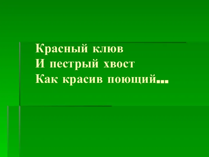 Красный клюв И пестрый хвост Как красив поющий…