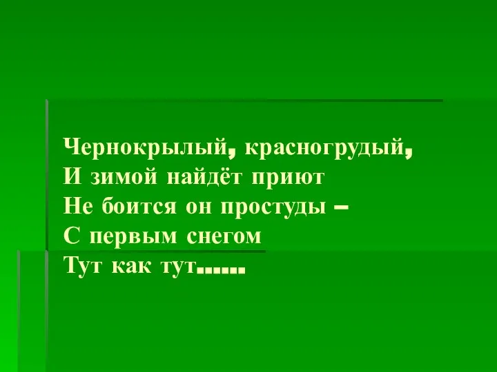 Чернокрылый, красногрудый, И зимой найдёт приют Не боится он простуды –