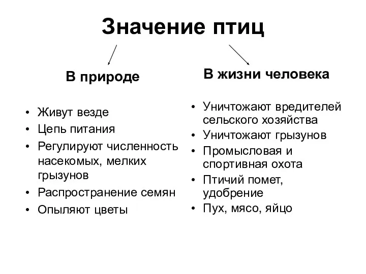 Значение птиц В природе Живут везде Цепь питания Регулируют численность насекомых,