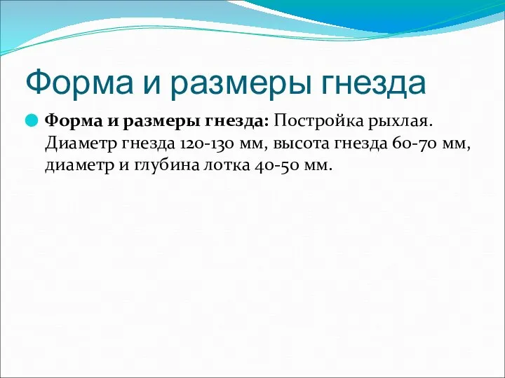 Форма и размеры гнезда Форма и размеры гнезда: Постройка рыхлая. Диаметр