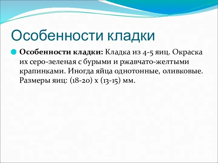 Особенности кладки Особенности кладки: Кладка из 4-5 яиц. Окраска их серо-зеленая