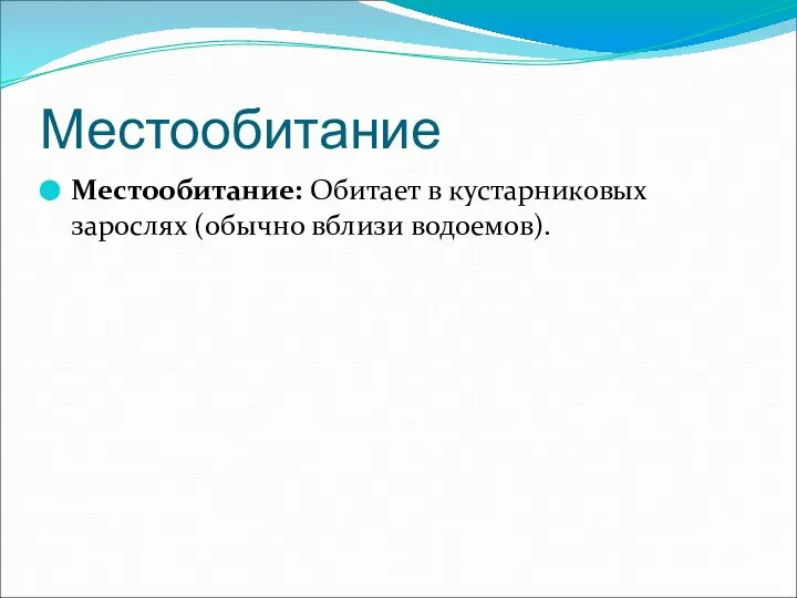 Местообитание Местообитание: Обитает в кустарниковых зарослях (обычно вблизи водоемов).